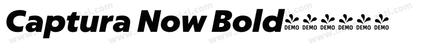 Captura Now Bold字体转换